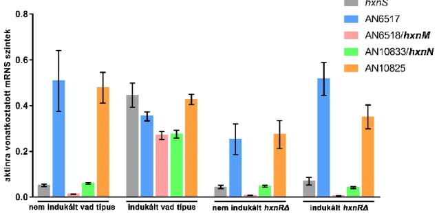 9. ábra: A hxnM és hxnN gének, valamint a velük szomszédos gének kifejeződésének vizsgálata RT-qPCR- RT-qPCR-rel