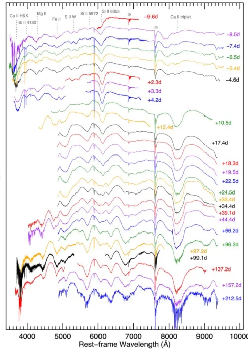 6. ábra. Az SN 2014J spektrális evolúciója. Forrás: Galbany és mtsai (2016)