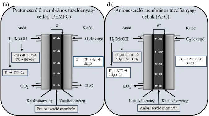 2. ábra A (a) protoncserélő és (b) anioncserélő membrános tüzelőanyag-cellák működésének  sematikus rajza