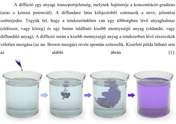 1. ábra. Kísérleti példa diffúzióra. 