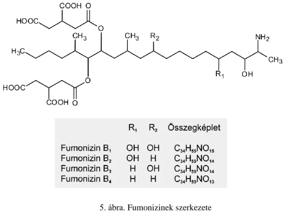 5. ábra. Fumonizinek szerkezete 