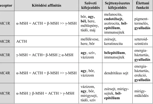 2. táblázat. Az MCR receptorok jellemzői (Brzoska és mtsai, 2008 és Lasaga és mtsai, 2008 alapján)