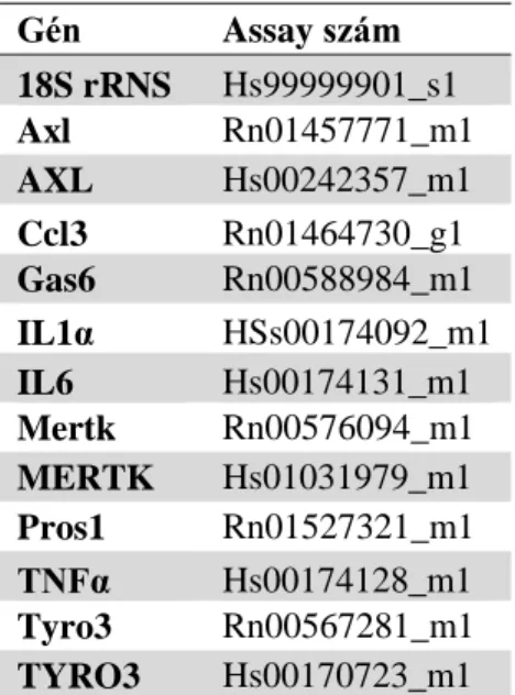 5. táblázat: TaqMan alapú QPCR során használt assay-k (Rn = Rattus norvegicus - patkány; 