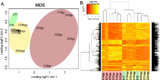 7. ábra: A TNBS által kiváltott patkány IBD modell vizsgálata során létrehozott in vivo  mintacsoportok  közötti  transzkripciós  hasonlóságok  és  különbségek  globális  feltérképezése