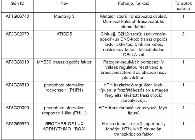 1. táblázat, Az élesztő egy-hibrid rendszerben azonosított, a  P5CS1 gén szabályozó szekvencia elemeivel  feltehetően kölcsönható transzkripciós faktorok.