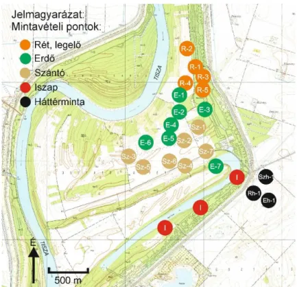 12. ábra. Talajmintavételi pontok a Brenazugi Holt-Körös környezetében 