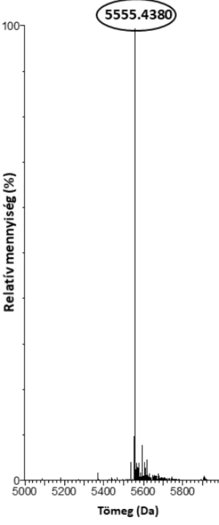 9. ábra. A tisztított NFAP2 ESI-MS monoizotópos tömegspektruma. 