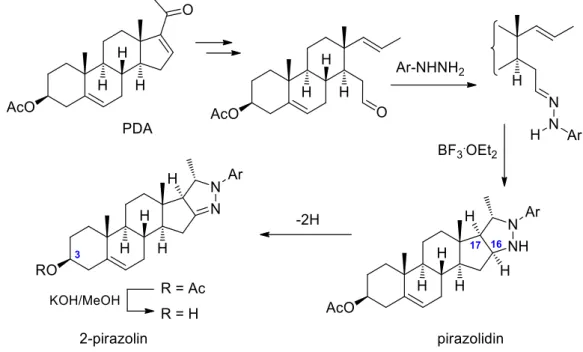 22. ábra: Androsztánvázas pirazolinok szintézise intramolekuláris  1,3-dipoláris cikloaddícióval  