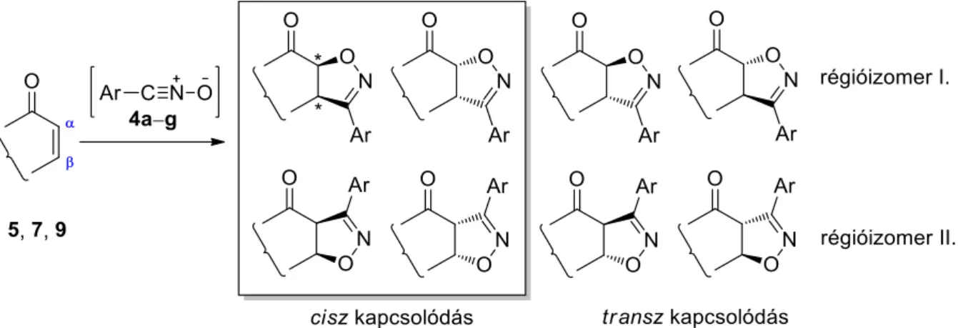 30. ábra: Lehetséges izomerek az α,β-telítetlen ketonok és az arilnitril-oxidok   reakciója esetén 