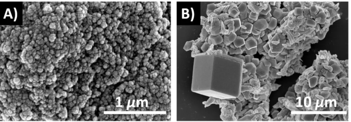 Figure 5: Scanning electron microscopic images of the amorphous urease enzyme–