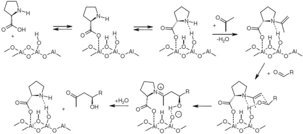 15. ábra  L -prolin/γ-Al 2 O 3  bifunkciós szerves-szervetlen hibrid katalizátoron lezajló  aszimmetrikus aldol-reakció feltételezett mechanizmusa [49]