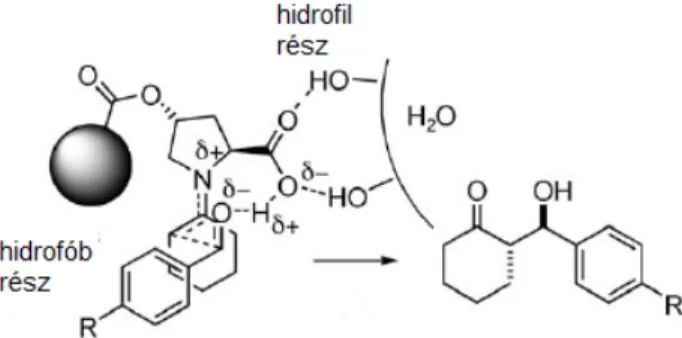 23. ábra O-(1-pirenilbutanoil)-  L -hidroxiprolinnal katalizált cikloalifás ketonok és  különböző aromás aldehidek közötti vizes közegű aldol-reakció javasolt átmeneti állapota 