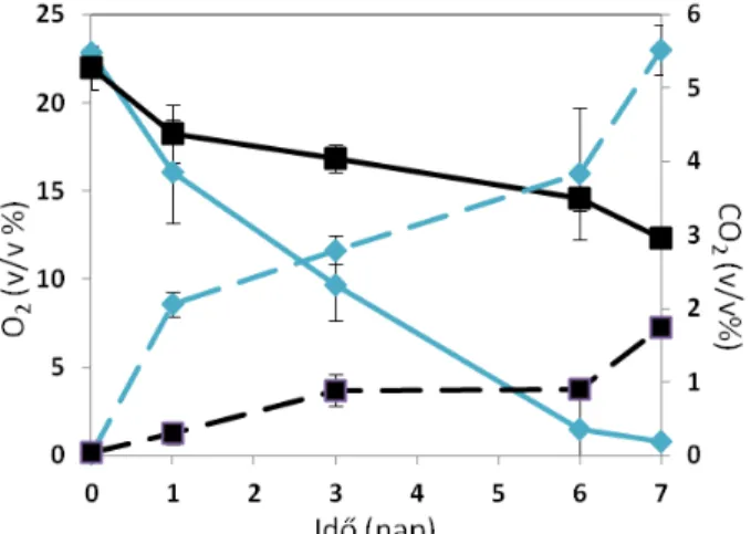 4. ábra: Az MK1 törzs (kék vonalak) és a kontroll minta (fekete vonalak) respirációs  aktivitása gázolaj jelenlétében folyadék kultúrákban 