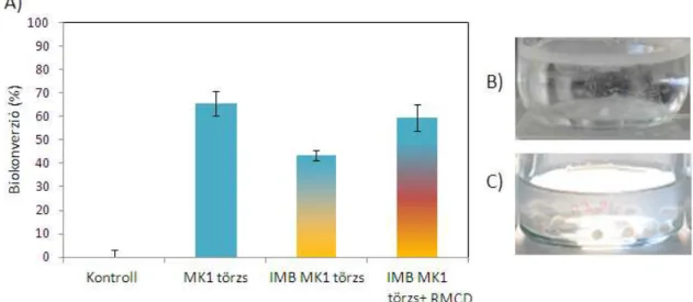 7. ábra: A sejtek immobilizációjának hatása a gázolaj biodegradációjára RMCD nélkül, és  annak jelenlétében (A)