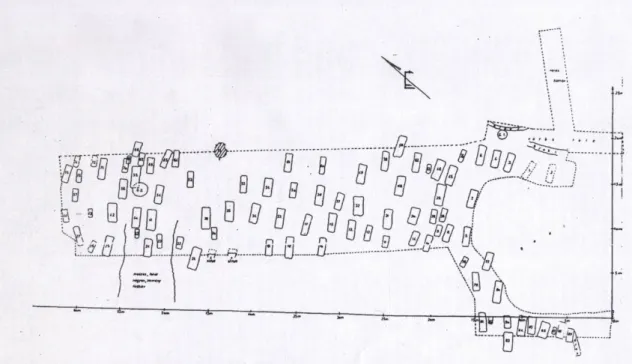 11. ábra: Áttekintő térkép – sírrajz a Bácsalmás-Óalmás középkori temetőről 1993-ból (Wicker  et al, 2003)