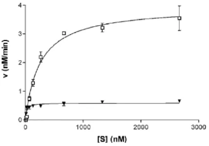 3. táblázat: A vad és a mutáns (L214S+Y229H) M.SinI stady-state kinetikai paraméterei 