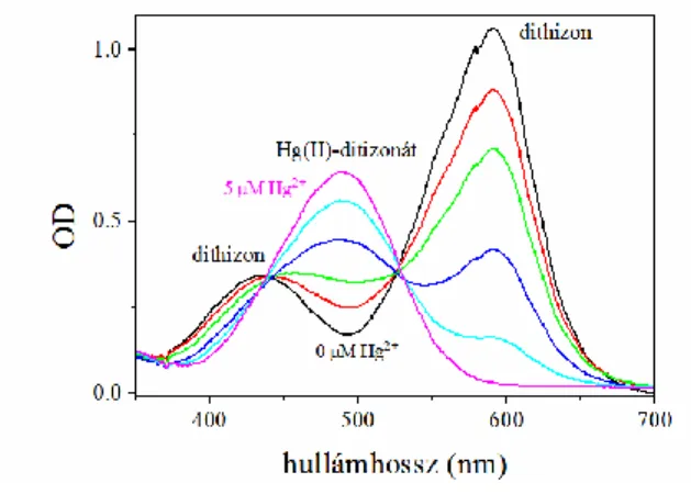 3.7.2. ábra. A dithizon és a Hg(II)-dithizonát  komplex  abszorpciós  spektrumai  különböző  Hg(II)  koncentrációknál  (0-5  M  Hg 2+ )