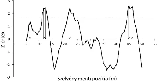 Illusztráció céljából a hosszú szelvény 2005-ös SMW profilját (7. ábra) és a rövid szelvény  2009-es SMW profilját mutatom be (8