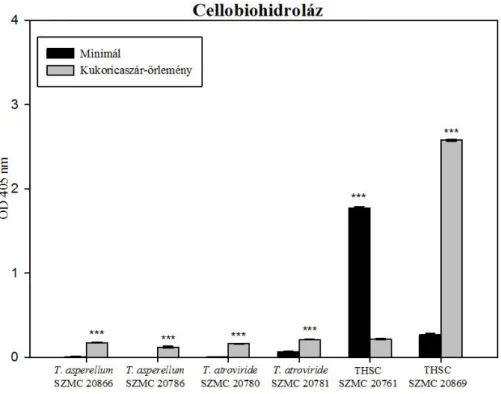 10. ábra. A vizsgált Trichoderma törzsek cellobiohidroláz enzimaktivitásai. 