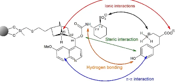 Figure 7. Chiral interactions between the zwitterionic CSP and analyte 