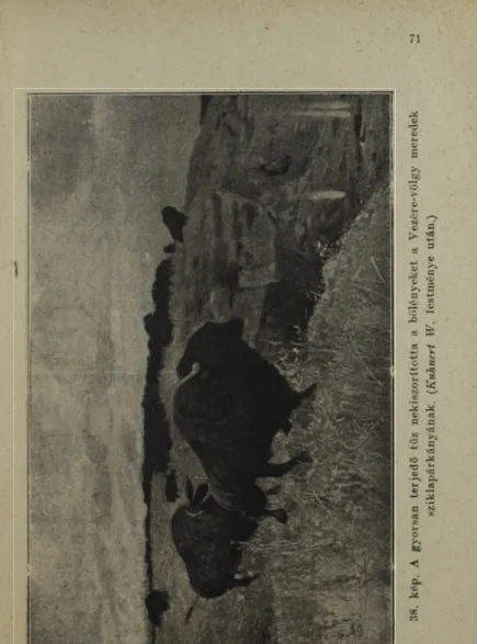 38. kép. Agyorsanterjedőtűznekiszorítottaabölényeket aVezére-völgymeredek sziklapárkányának