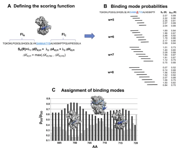 Fig. 6. Prediction of different binding modes of disordered regions by the FuzPred method