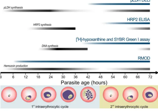 Figure 1.  Comparison of drug susceptibility assay methods and their principle of detection