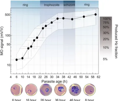 Figure 2.  Typical hemozoin production characteristics of P. falciparum 3D7. The black circles represent the  average MO values measured on drug-free parasite cultures of 1% parasitemia as a function of the mean  parasite age (for details see “Sample prepa