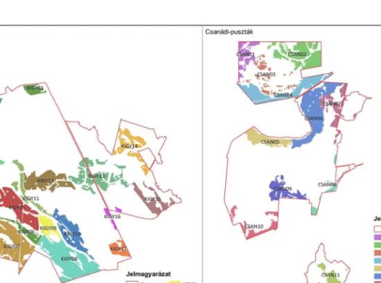 8. ábra A Kígyósi-puszta és a Csanádi-puszták tervezési egységei 