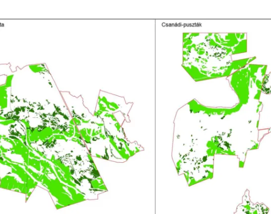 1. ábra A Kígyósi-puszta és a Csanádi-puszták elsődleges löszgyepeket tartalmazó élőhelyfoltjai  (sötét zöld) és megszántott löszgyep-termőhelyei (világos zöld)