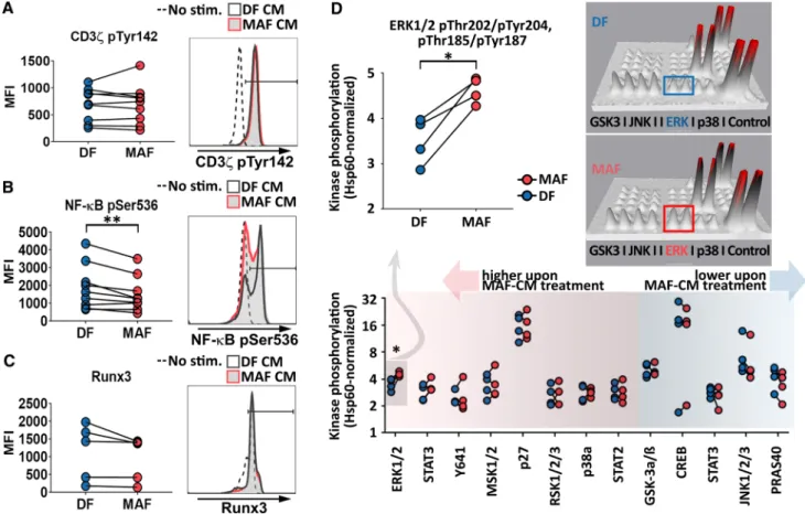 Fig. 3    MAF-CM modulates CTL phosphorylation cascades down- down-stream of TCR. a Analysis of CD3ζ-chain activation (n = 9)