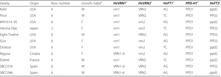 Table 1 List of the barley genotypes examined and allelic variants for the major flowering time genes