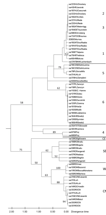 Fig. 3. Maximum likelihood tree of Carabus variolosus and C.nodulosus COI-5’end. Only specimens with differences in their se- quences were included
