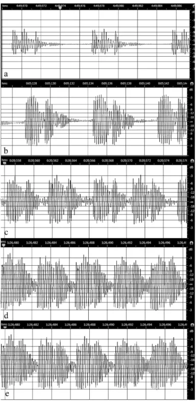 Fig. 2. Variation in the  shapes of syllables by  increasing the  aver-age  RMS  amplitude  in any portion of the  calling (a, c, d, e) and  courtship song (b) of  T
