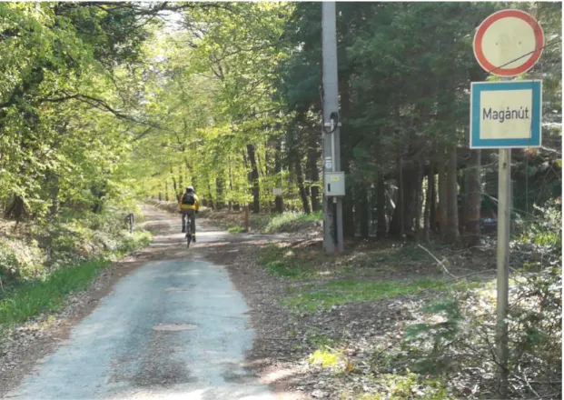 4. ábra: Közút és erdészeti út találkozása a Szombathelyi Erdészeti Zrt. területén (fotó: Munkácsy András) 