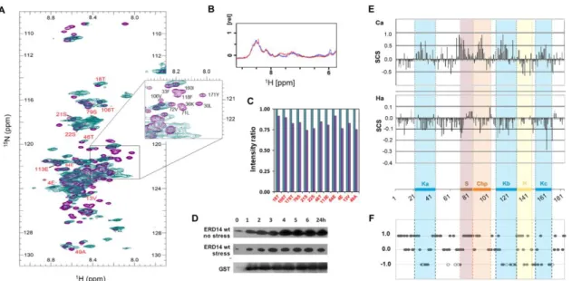 Figure 2. ERD14 is largely disordered in the cytoplasm by in-cell NMR. (A) ERD14 was overexpressed  in E