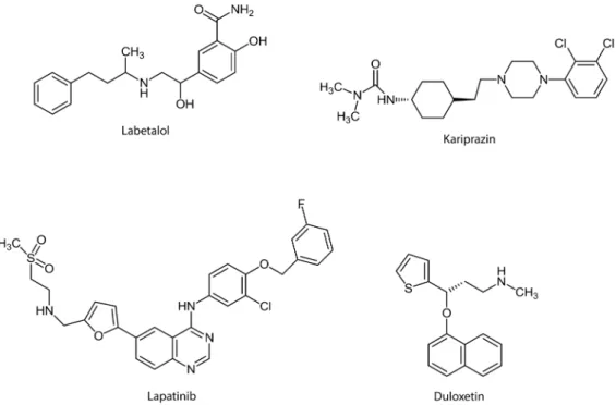 2. ábra Különféle terápiás célra alkalmazott kettős támadáspontú gyógyszerek. Labetalol: vérnyomáscsökkentő; duloxetin: antidepresszáns; lapatinib: az emlő- emlő-rák bizonyos típusainak kezelésére; kariprazin: szkizofrénia kezelésére