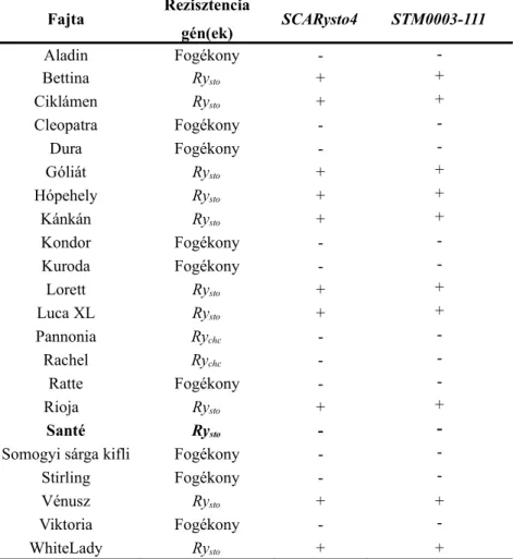 3. táblázat: A két marker (SCARysto4,  STM0003-111) vizsgálata különböző rezisztens és  fogékony burgonya fajtákon
