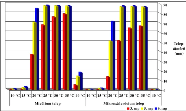 9. ábra. M. phaseolina izolátumok telepátmérı átlaga eltérı hımérsékleten és mérési napon 