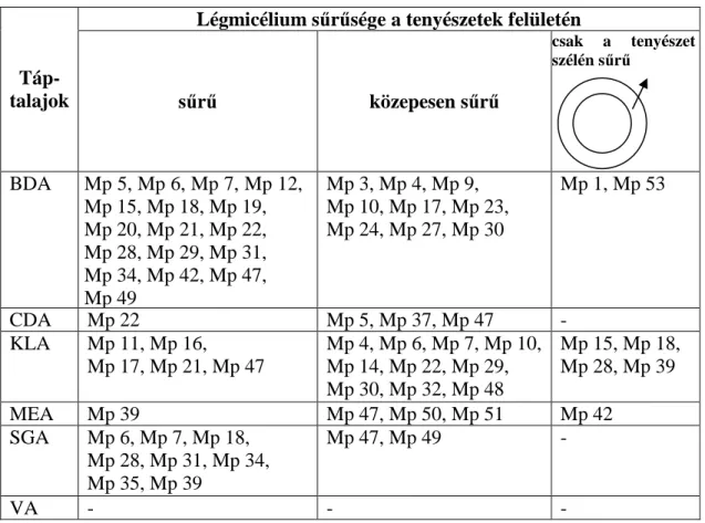 a többi izolátumnál is – fekete színt tapasztaltunk. CDA, KLA (15. ábra) és SGA táptalajokon  a  mikroszkleróciumok  összefüggı  telepeket  alkottak  a  6