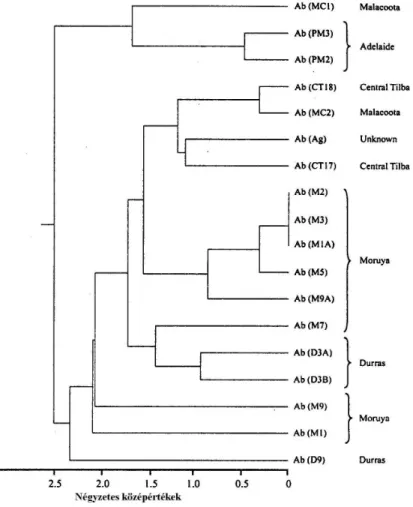 14. ábra Crambe maritima keresztesvirágú gyomnövényr l származó Alternaria brassicicola  izolátumok populáció vizsgálatának eredménye (B OCK  és mtsai nyomán, 2002) 