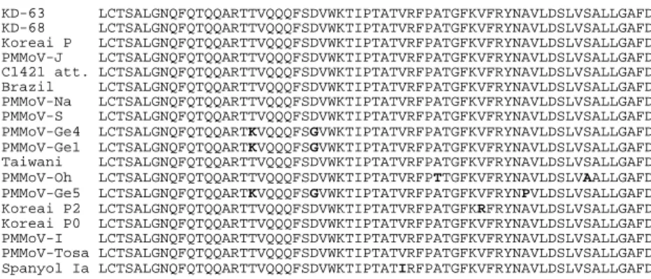 18. ábra. A magyar KD-63 és KD-68 PMMoV izolátumok nukleotid   szekvenciájának  összehasonlítása  az  adatbankban  található,  egyéb  PMMoV  izolátumok  szekvenciájával  a  CP  396  bázis  hosszúságú szakaszán   