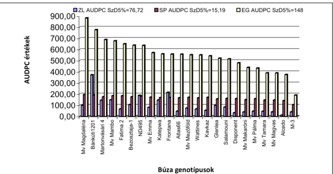 31. ábra. Búza genotípusok Pyrenophora tritici-repentisszel szembeni felnőttkori  ellenállósága a különböző felvételezési módszerek alapján  