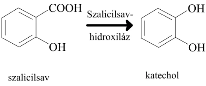 6. ábra A szalicilsav-hidroxiláz katechollá alakítja át a szalicilsavat