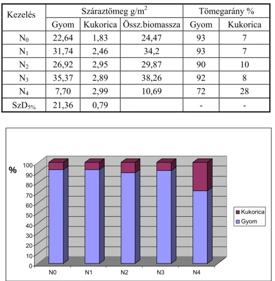 15. táblázat  A kukorica és a gyomok száraz tömege a minimális művelésben (2007.05.22)