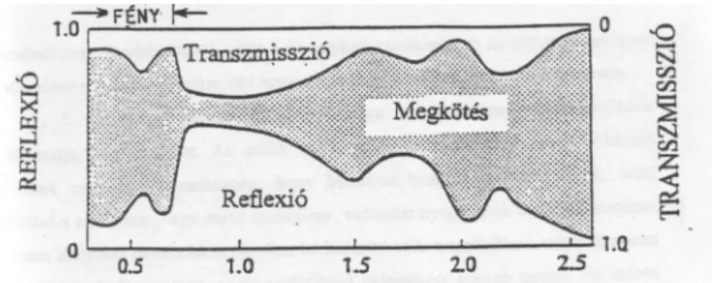 2.2. ábra:  Az egyedi levél sugárzási tulajdonságai Monteith (1965) nyomán 