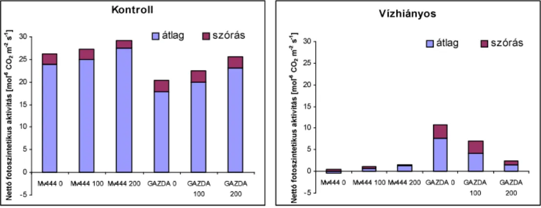 4.1. táblázat: Az Mv444 és Gazda hibrid 0, 100 és 200 kg/ha-os nitrogénellátású egyedeinek  növénymagasság, klorofilltartalom és NR aktivitás statisztikai eredményeit összefoglaló ANOVA 