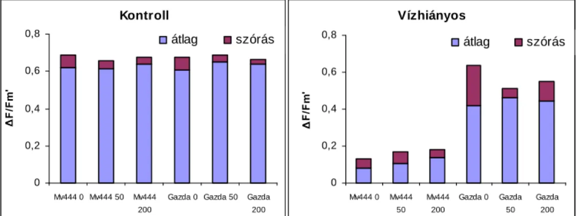 4.2. táblázat: Kontroll és vízhiányos Mv444 és Gazda hibrid 0, 100 és 200 kg/ha-os nitrogénellátású  egyedeinek fotoszintézis, transzspiráció és klorofill fluoreszcencia indukciós statisztikai eredményeit 