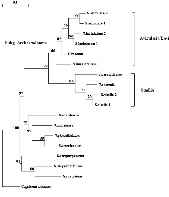 Fig.  5.  Dendrogram  constructed  with  the  Neighbor  Joining  (NJ)  method  from  the  AAD  (RAPD, SCoT and IT) data matrix calculated using the formula given by Nei and Li (1979)