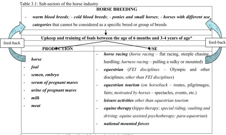 Table 3.1: Sub-sectors of the horse industry 
